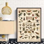 poster di insetti vintage 1
