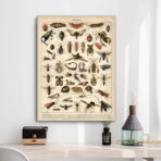 poster di insetti vintage 1