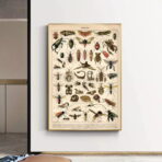 poster di insetti vintage 1