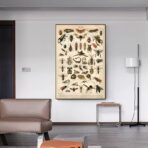 poster di insetti vintage 1