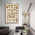 poster di insetti vintage 1