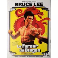poster la furia del drago