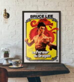 poster la furia del drago