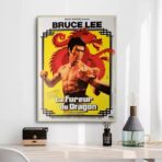 poster la furia del drago