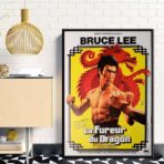 poster la furia del drago