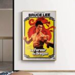 poster la furia del drago