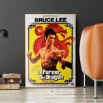 poster la furia del drago