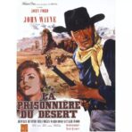 poster il prigioniero del deserto