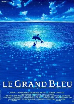 mostra il grande blu