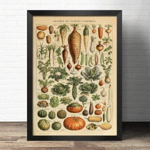 poster di verdure vintage