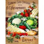 poster di verdure vintage 1
