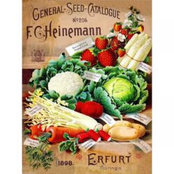 poster di verdure vintage 1