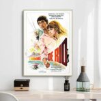 poster luomo di rio