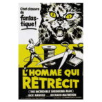poster luomo che si rimpicciolisce