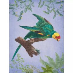 poster di uccelli vintage 1