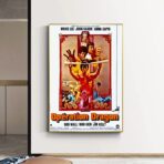 poster operazione drago