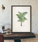 poster vintage con palme