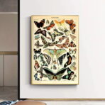 poster vintage con farfalle