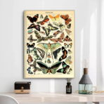 poster vintage con farfalle