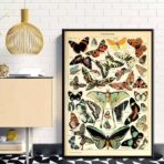 poster vintage con farfalle
