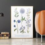 poster pianta vintage 1