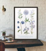 poster pianta vintage 1