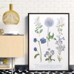 poster pianta vintage 1