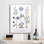poster pianta vintage 1