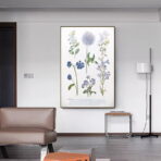 poster pianta vintage 1