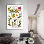 poster pianta vintage