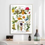 poster pianta vintage