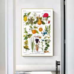 poster pianta vintage