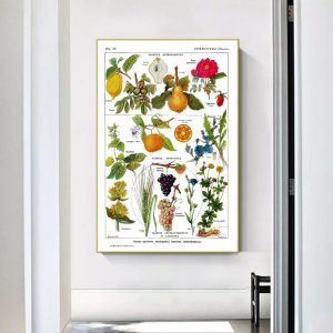poster pianta vintage