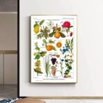 poster pianta vintage