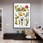 poster pianta vintage