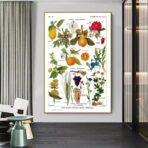 poster pianta vintage