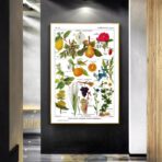 poster pianta vintage
