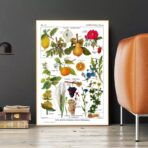 poster pianta vintage