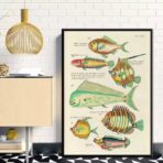 poster pesce vintage 2