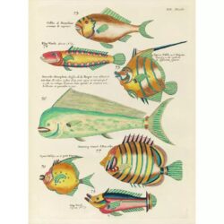 poster pesce vintage 2
