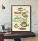 poster pesce vintage 2