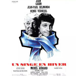 poster una scimmia in inverno