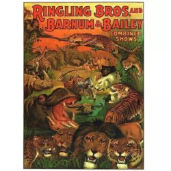 poster vintage di animali