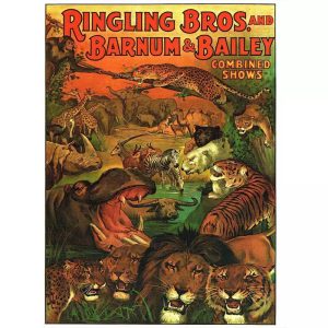 poster vintage di animali