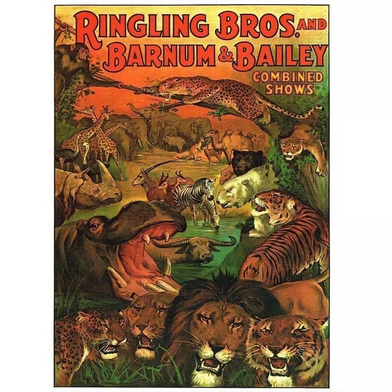 poster vintage di animali poster vintage di animali