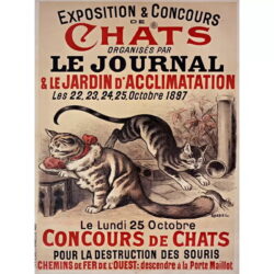 poster gatto vintage