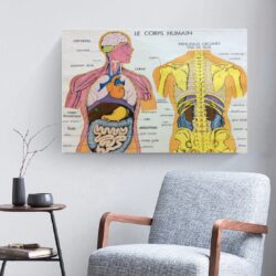poster vintage corpo umano