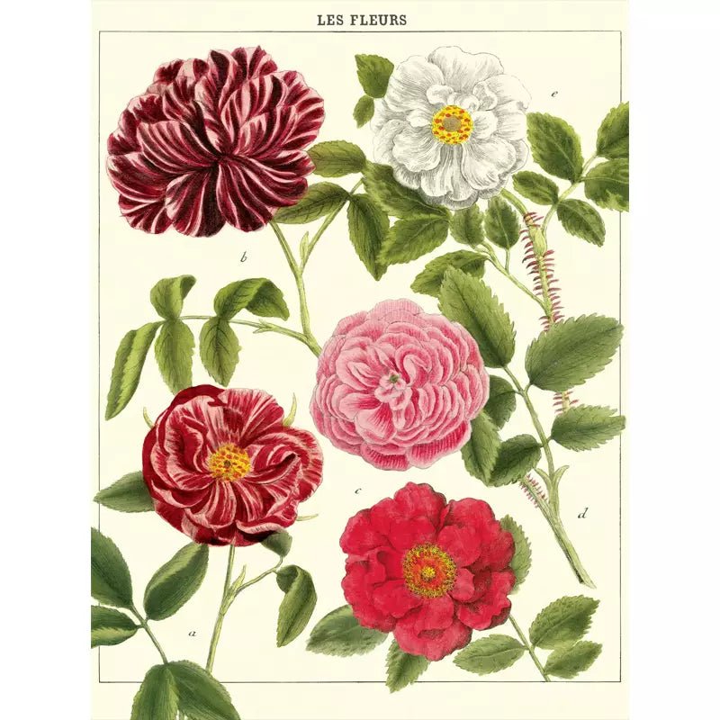 poster di fiori vintage poster di fiori vintage