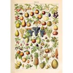 poster di frutta vintage