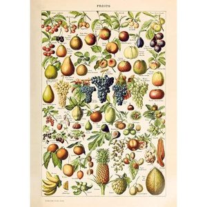 poster di frutta vintage
